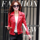 Women's Leather Jacket  Spring